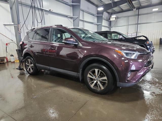 2T3RFREV4GW410045 - 2016 TOYOTA RAV4 XLE PURPLE photo 4