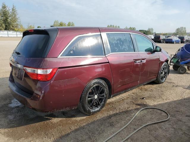 5FNRL5H67DB506761 - 2013 HONDA ODYSSEY EXL Շագանակագույն լուսանկար 3