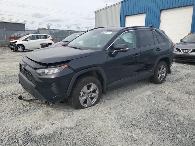 2025 TOYOTA RAV4 LE, 
