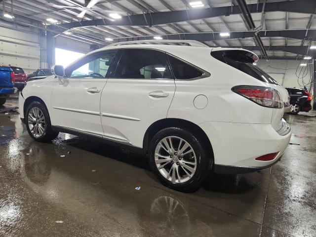 2T2BK1BA2EC229559 - 2014 LEXUS RX 350 BASE WHITE photo 2