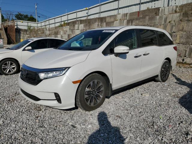 2024 HONDA ODYSSEY EXL, 