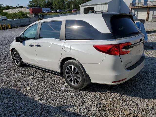 5FNRL6H63RB015505 - 2024 HONDA ODYSSEY EXL 白色 照片 2