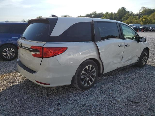 5FNRL6H63RB015505 - 2024 HONDA ODYSSEY EXL 白色 照片 3