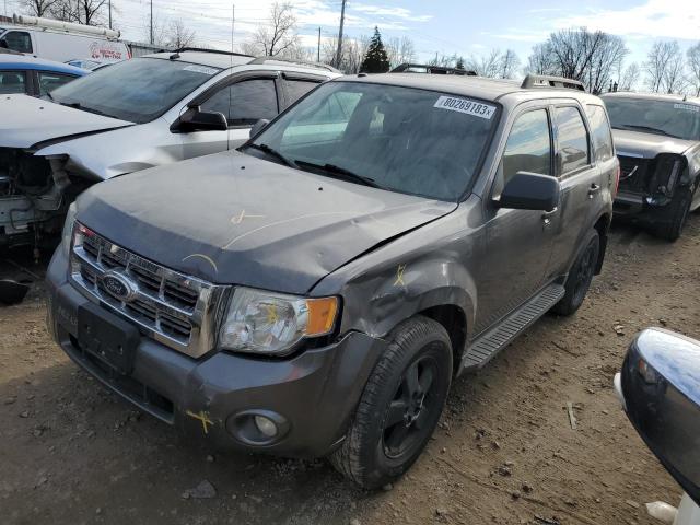 2009 FORD ESCAPE XLT, 