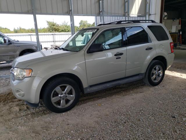 2009 FORD ESCAPE XLT, null