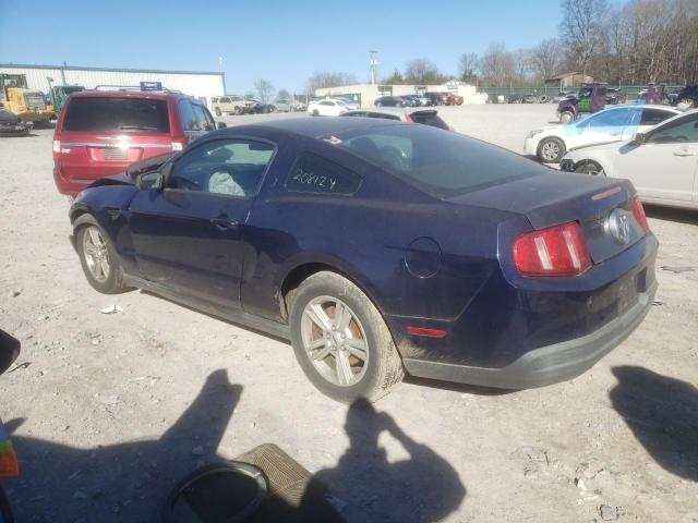 1ZVBP8ANXA5146324 - 2010 FORD MUSTANG BLUE photo 2