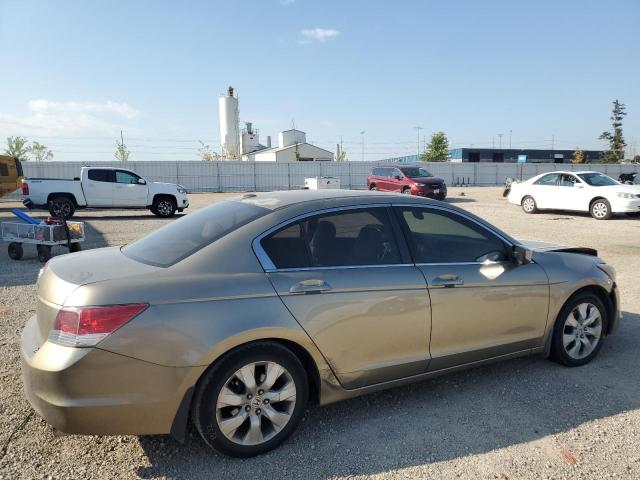 JHMCP26828C070531 - 2008 HONDA ACCORD EXL Золотий фото 3