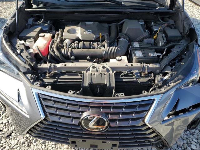 JTJGARDZ5M2252990 - 2021 LEXUS NX 300 BASE ნაცრისფერი ფოტო 12