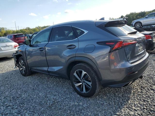 JTJGARDZ5M2252990 - 2021 LEXUS NX 300 BASE ნაცრისფერი ფოტო 2