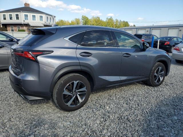 JTJGARDZ5M2252990 - 2021 LEXUS NX 300 BASE ნაცრისფერი ფოტო 3