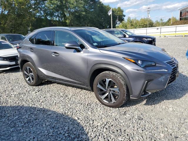 JTJGARDZ5M2252990 - 2021 LEXUS NX 300 BASE ნაცრისფერი ფოტო 4