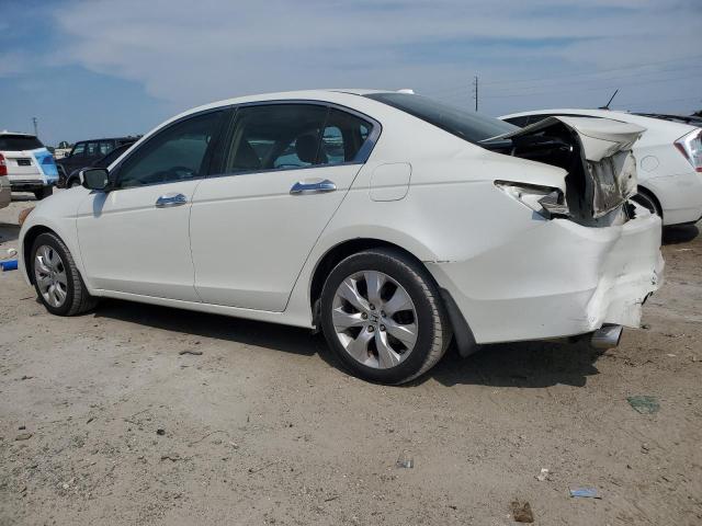 1HGCP36838A037056 - 2008 HONDA ACCORD EXL WHITE photo 2