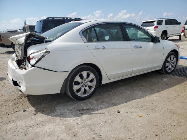 1HGCP36838A037056 - 2008 HONDA ACCORD EXL WHITE photo 3