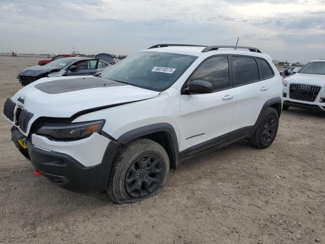 1C4PJMBX3KD288217 - 2019 JEEP CHEROKEE TRAILHAWK WHITE photo 1