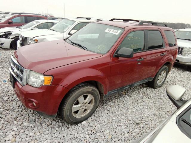 1FMCU0DG8BKA10318 - 2011 FORD ESCAPE XLT BURGUNDY photo 1