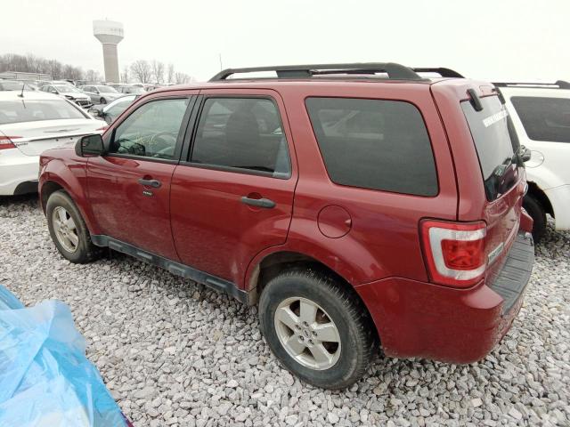 1FMCU0DG8BKA10318 - 2011 FORD ESCAPE XLT BURGUNDY photo 2