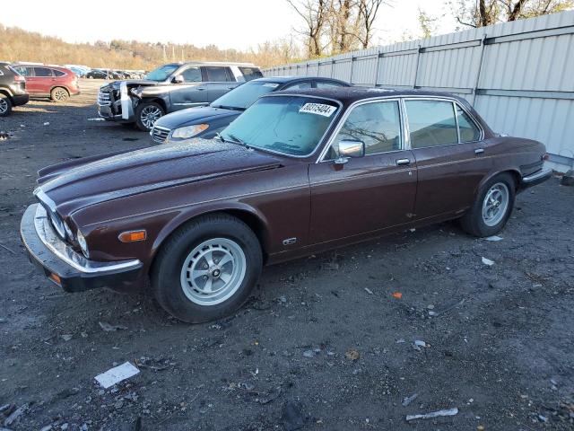 SAJAV1347EC378740 - 1984 JAGUAR XJ6 BURGUNDY photo 1