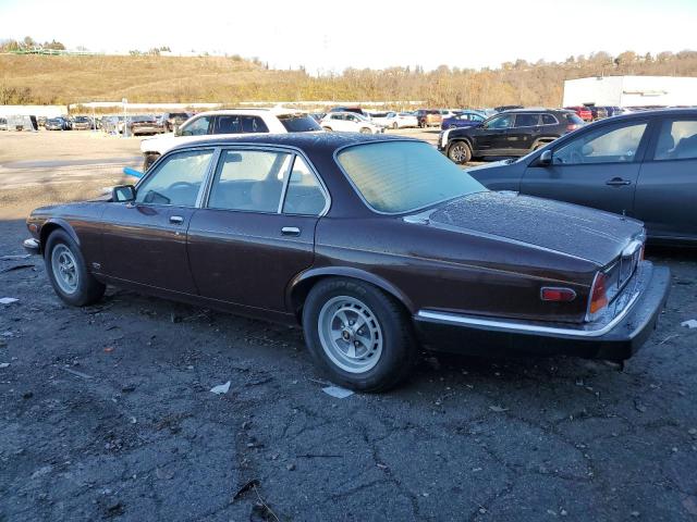 SAJAV1347EC378740 - 1984 JAGUAR XJ6 BURGUNDY photo 2