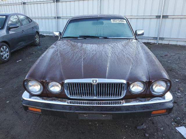 SAJAV1347EC378740 - 1984 JAGUAR XJ6 BURGUNDY photo 5