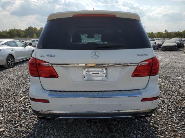 4JGDF7CE0EA278491 - 2014 MERCEDES-BENZ GL 450 4MATIC WHITE photo 6
