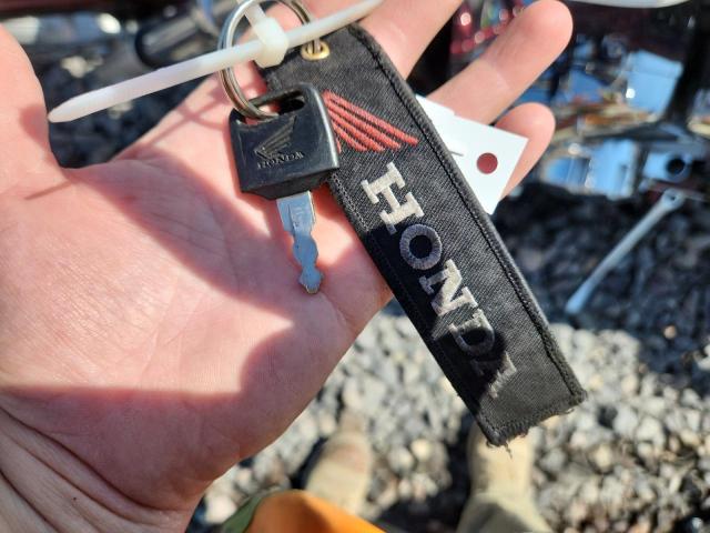 JH2SC6101AK001415 - 2010 HONDA VT1300 CX 栗色 照片 8