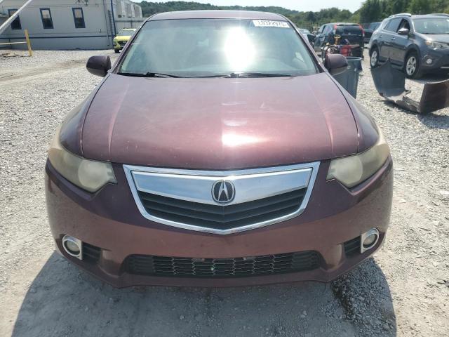 JH4CU2F42CC010182 - 2012 ACURA TSX 勃艮第红 照片 5