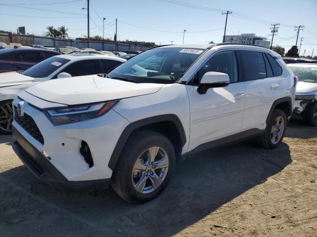 2023 TOYOTA RAV4 LE, 
