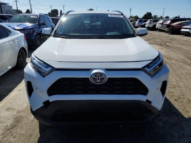 4T3MWRFV9PU086938 - 2023 TOYOTA RAV4 LE 白色 照片 5