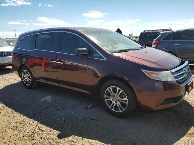 5FNRL5H66BB018348 - 2011 HONDA ODYSSEY EXL BURGUNDY photo 4