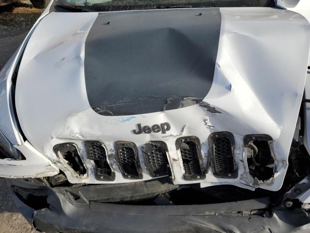 1C4PJMBS9EW125696 - 2014 JEEP CHEROKEE TRAILHAWK Ağ foto 12