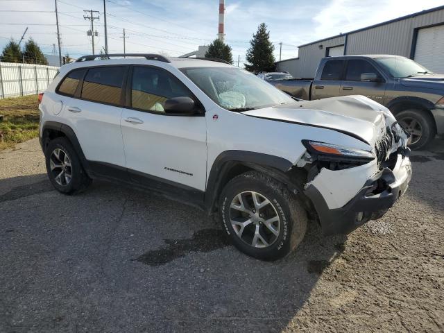 1C4PJMBS9EW125696 - 2014 JEEP CHEROKEE TRAILHAWK Ağ foto 4
