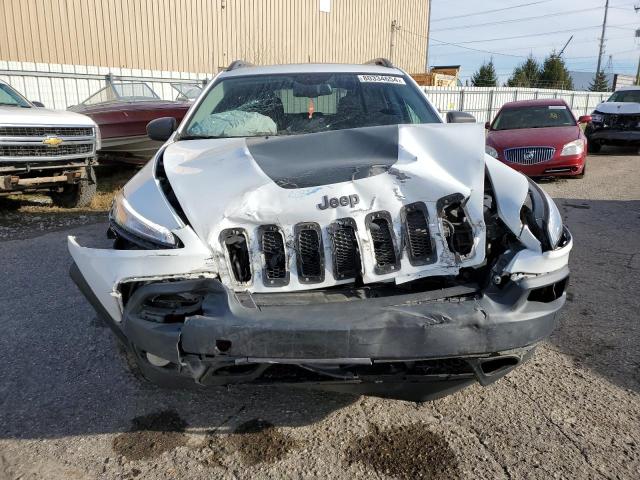 1C4PJMBS9EW125696 - 2014 JEEP CHEROKEE TRAILHAWK Ağ foto 5