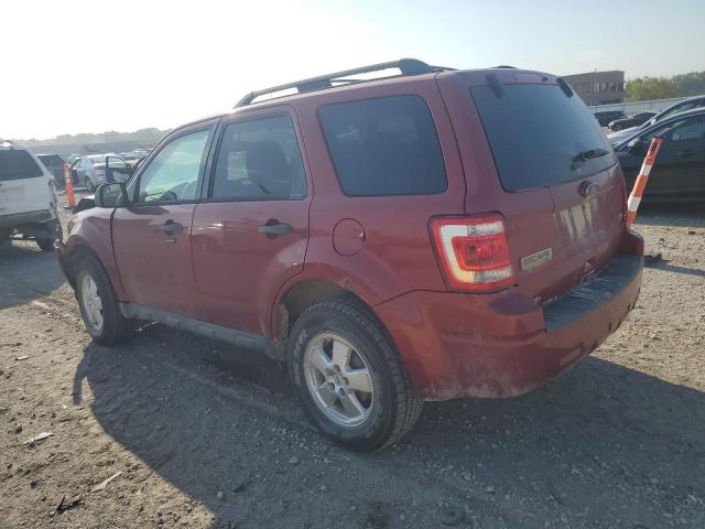 1FMCU9DG0CKB54256 - 2012 FORD ESCAPE XLT 勃艮第红 照片 2