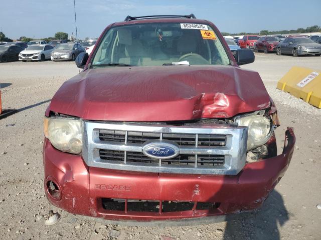 1FMCU9DG0CKB54256 - 2012 FORD ESCAPE XLT 勃艮第红 照片 5