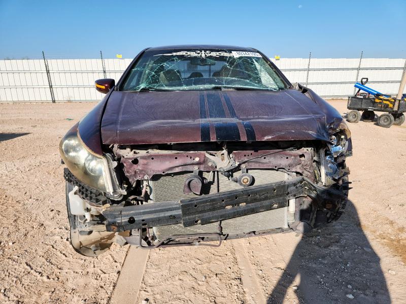 JHMCP26858C070040 - 2008 HONDA ACCORD EXL MAROON photo 5