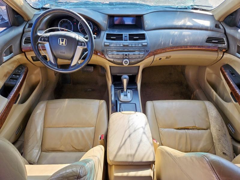 JHMCP26858C070040 - 2008 HONDA ACCORD EXL MAROON photo 8