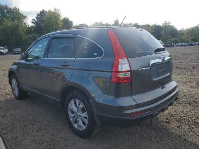 5J6RE4H7XAL041165 - 2010 HONDA CR-V EXL 灰色 照片 2
