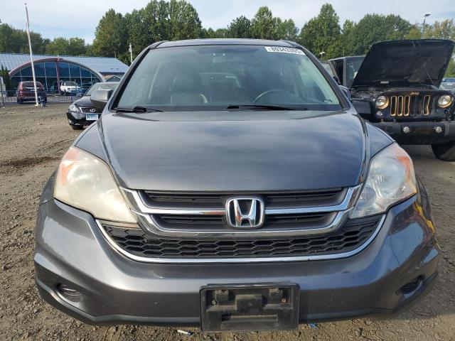 5J6RE4H7XAL041165 - 2010 HONDA CR-V EXL 灰色 照片 5