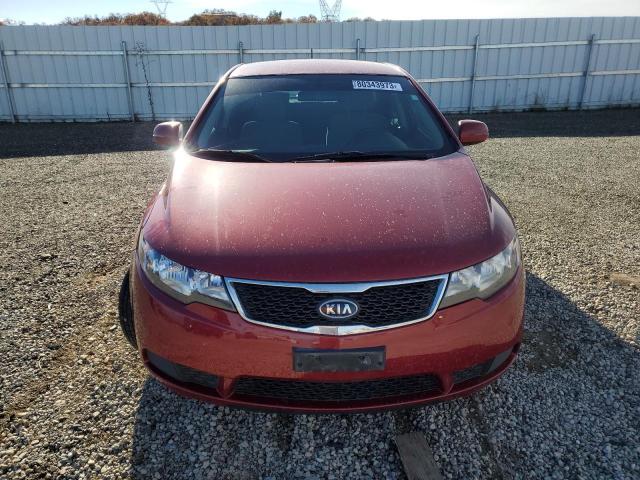 KNAFU4A23D5736913 - 2013 KIA FORTE EX RED photo 5