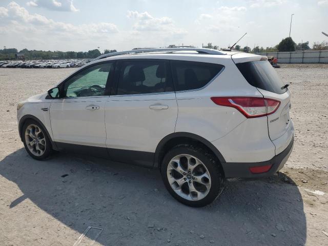 1FMCU9J96DUC14410 - 2013 FORD ESCAPE TITANIUM WHITE photo 2