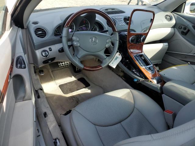 WDBSK75F63F061491 - 2003 MERCEDES-BENZ SL 500R SILVER photo 8