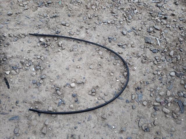 2T1KR32EX4C232884 - 2004 TOYOTA COROLLA MA XR SILVER photo 12