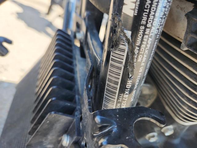 1HD1KB712RB649694 - 2024 HARLEY-DAVIDSON FLHX თეთრი ფოტო 8