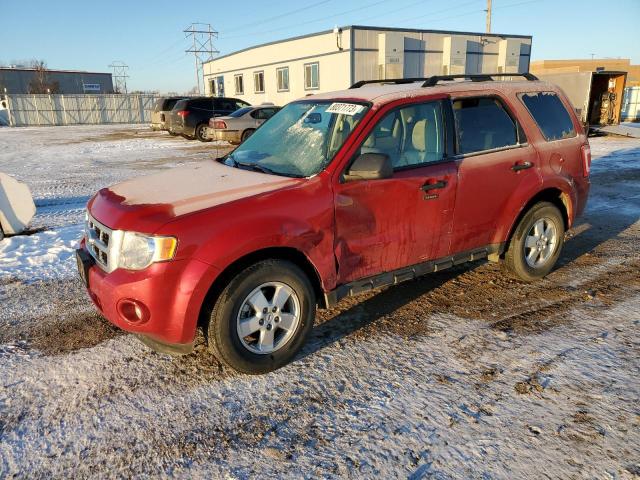 1FMCU0DGXBKC29944 - 2011 FORD ESCAPE XLT RED photo 1