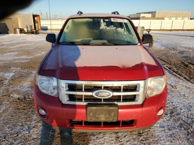 1FMCU0DGXBKC29944 - 2011 FORD ESCAPE XLT RED photo 5