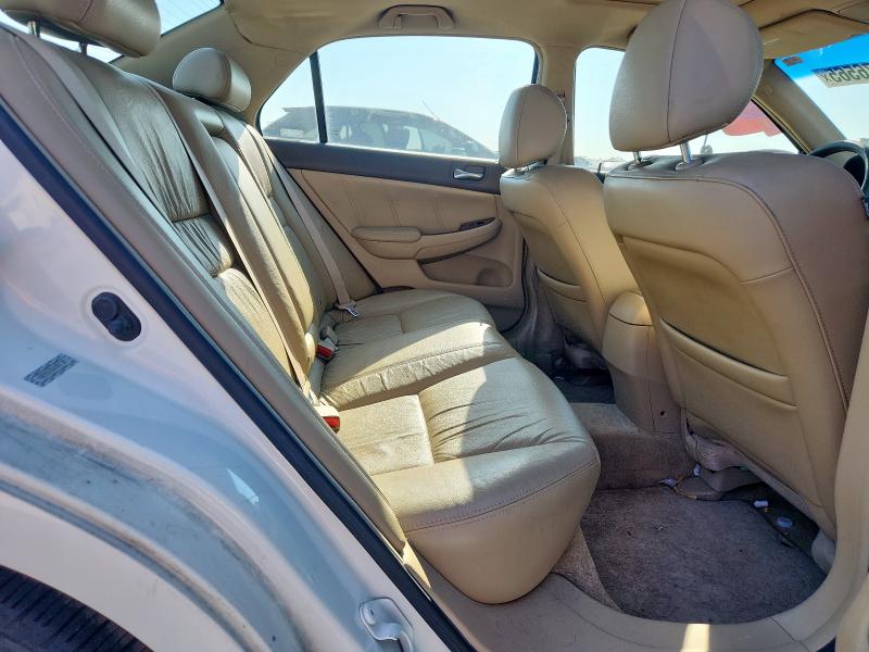 1HGCM66556A069309 - 2006 HONDA ACCORD EX 白色 照片 10