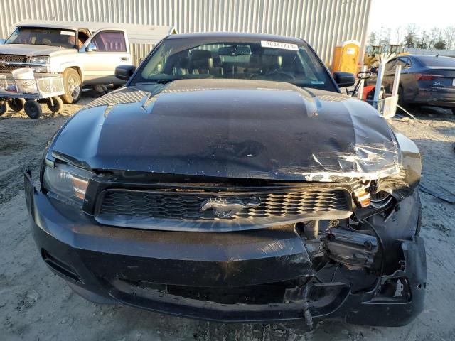 1ZVBP8AM7C5251901 - 2012 FORD MUSTANG BLACK photo 5