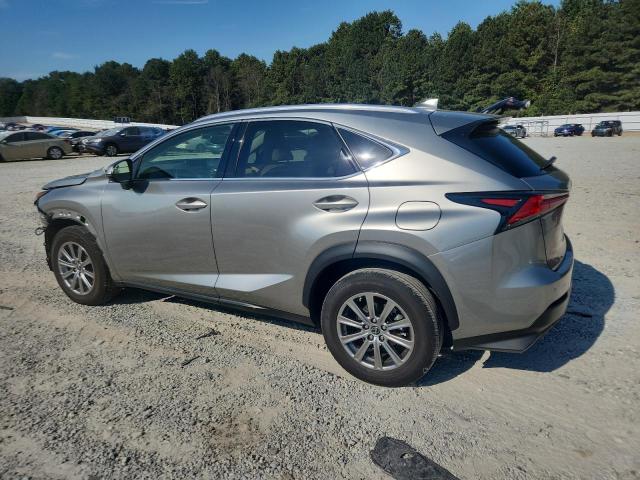 JTJDARBZ4M2190777 - 2021 LEXUS NX 300 BASE GRAY photo 2
