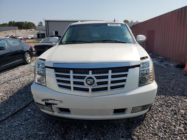 1GYFK63847R120179 - 2007 CADILLAC ESCALADE LUXURY Белый фото 5