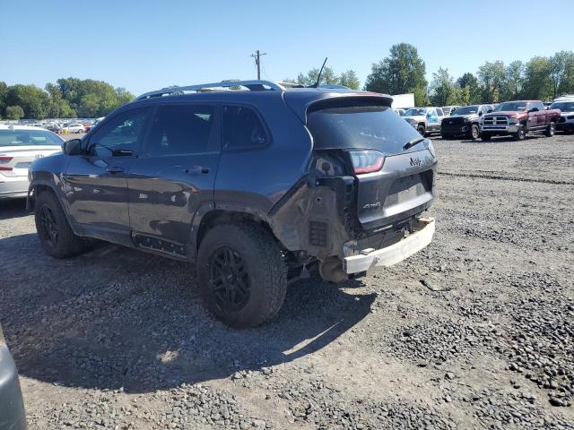 1C4PJMDN2KD179873 - 2019 JEEP CHEROKEE LIMITED BLACK photo 2